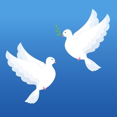 Two pigeons in flat style. white doves with olive twig on a blue background Vector illustration