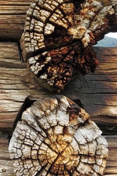 Macro view on a weathering wood piles construction of a traditional stabbur shed in Norway, Europe