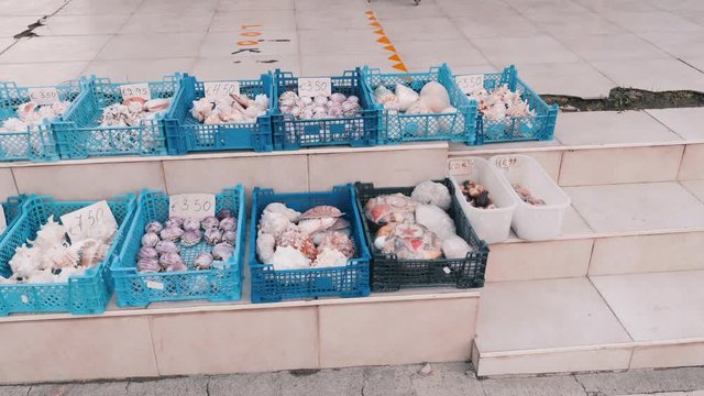 Plastic baskets filled with sea souvenirs of seashells on street. Flea market. 