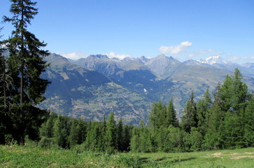 Paysage verdoyant des Alpes en été. Pâturage et forêt de sapins au premier plan. Chaîne de montagnes et ciel clair en arrière plan