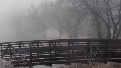 Fog Bridge 