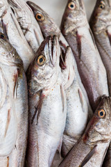 Obraz premium Fish on ice at the market. Fresh fish sold on Bazaar.