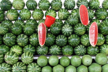 Watermelons on sale in Dubai, UAE