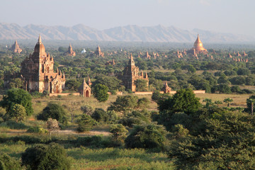 Obraz premium Temples catch the evening light in Bagan, Burma (Myanmar) on Tuesday 3 January 2012