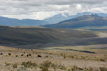 Fototapeta premium Countryside in Ecuador, near the capital Quito