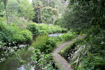 Fototapeta premium Lush gardens at Mount Usher in Co. Wicklow, Ireland