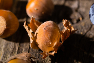 autumn fruits and vegetables on weathered wooden table background