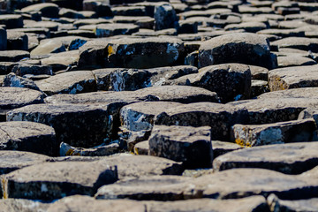 Close up details of Giant's Causeway Rock Formations