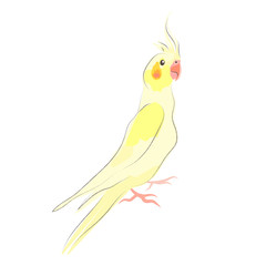 Bird. Isolated vector element. Logo, sign.