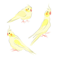 Bird. Isolated vector element. Logo, sign.