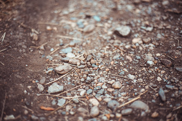 Rocky road with large stones and dried plants – Bumpy path in the mountains or wild parks – Concept image for adventure