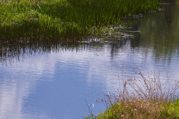 View to the lake.