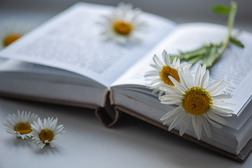 open book and flower