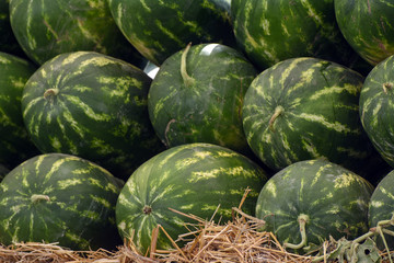 Watermelons in bulk in the eastern bazaar