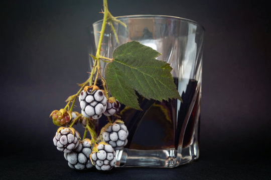 glass with a drink of dark color with a branch of frozen blackberry
