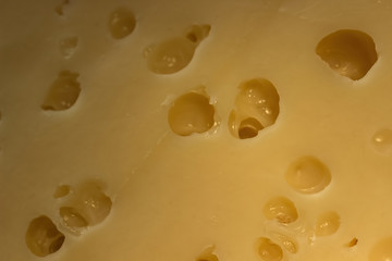 Cheese texture, closeup. Hard seasoned cheese structure in macro shot