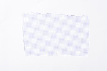 polka dot white background in white torn paper hole
