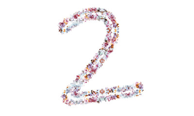 Flower alphabet. Colorful font. Uppercase, lowercase and numbers.