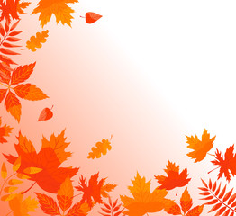 Naklejka na ściany i meble Autumn background with fallen leaves.