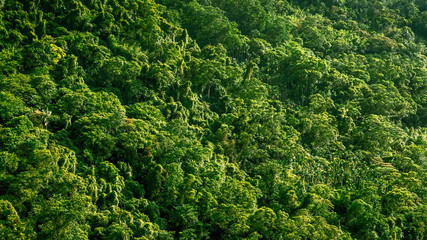 Beautiful mountain forest scenery in Taiwan. Elevated view of nature landscape.