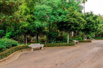 Stone benches along the alley in Garcia Sanabira public park, Santa Cruz de Tenerife, Canary Islands, Spain