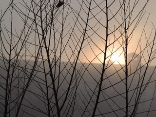 Fototapeta premium Névoa, arbustos e cidade ao fundo no fim de tarde europeu