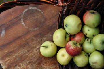 Basket with ripe fresh apples on an old chair. Harvest.