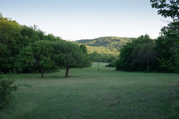 landscape with lake and trees