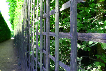 Protective wooden fence along the alley of green trees with path line in Versailles garden, summer...