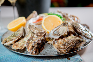 oysters and seafood with wine