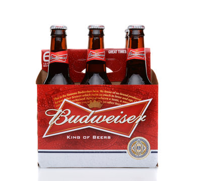 IRVINE, CA - MAY 25, 2014: A 6 pack of Budweiser, side view. Introduced in 1876 by Adolphus Busch Bud has become one of the best selling beers in the United States.