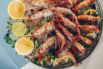 oysters and seafood with wine