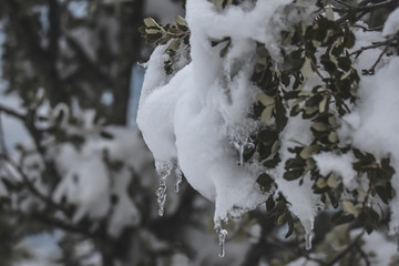 macro de la nieve y hielo