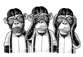 Three wise monkeys. Not see, not hear, not speak. Vintage engraving © MoreVector