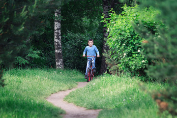 Obraz premium young man in the forest