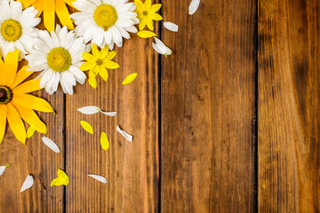 Obraz premium White daisies and garden flowers on a brown wooden table. Top view, copy space.