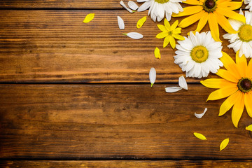 White daisies and garden flowers on a brown wooden table. Top view, copy space.