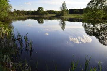 Fototapeta na wymiar Lake in the forest. Clouds are reflected in the water. Trees, summer. Beautiful landscape