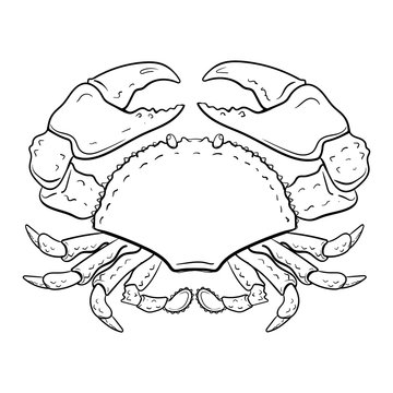 crab coloring page. Hand-drawn zodiac cancer . Horoscope symbol for your use. For tattoo art, coloring book. Coloring page for relax, vector illustration