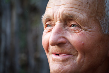 Close-up portrait of a very old man against the background of wattle, selective focus