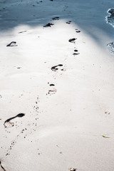 Footprints in the Sand