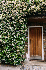 Fototapeta na wymiar Beautiful Flower Covered Doorway 