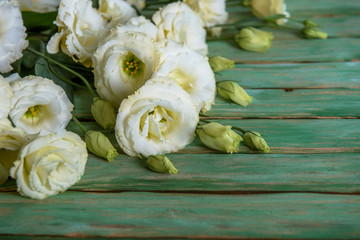 eustoma flowers on wooden background