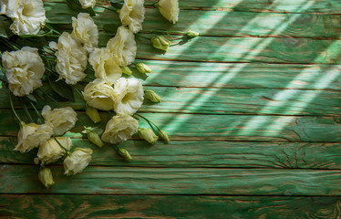 eustoma flowers on wooden background