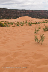 Red sand dune