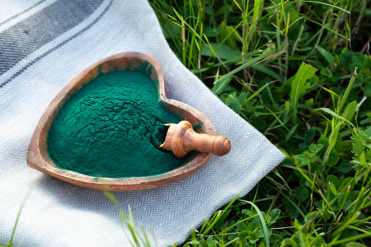 Organic spirulina algae powder in a wooden spoon on green grass background