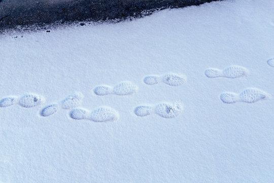 Footsteps of a man in the snow on the asphalt street.