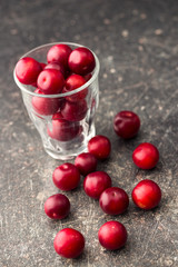 The red cherry plums fruit.