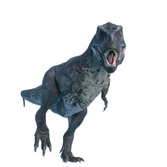 tyrannosaurus rex walking around © DM7