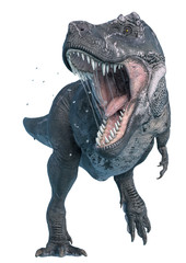 tyrannosaurus rex in anger